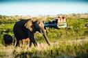 Gondwana Game Reserve