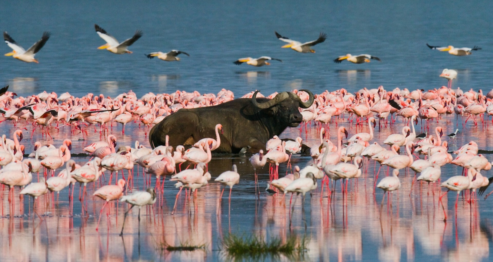 Lake Nakuru