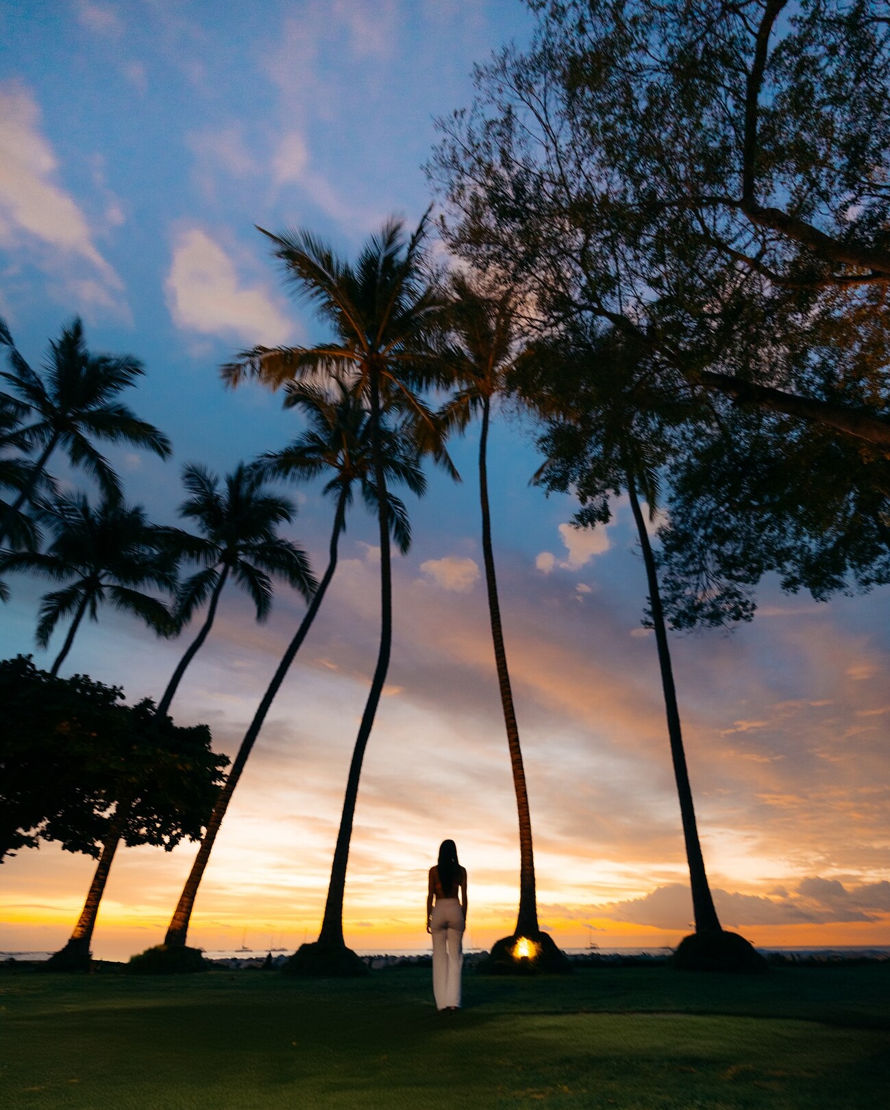 Hotel Tamarindo Diria Beach Resort