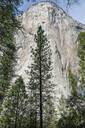 Yosemite El Capitan