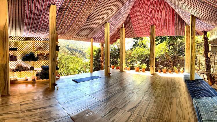The Yoga Forest