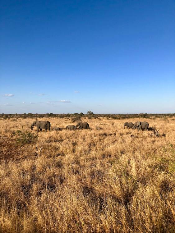 Kruger National Park