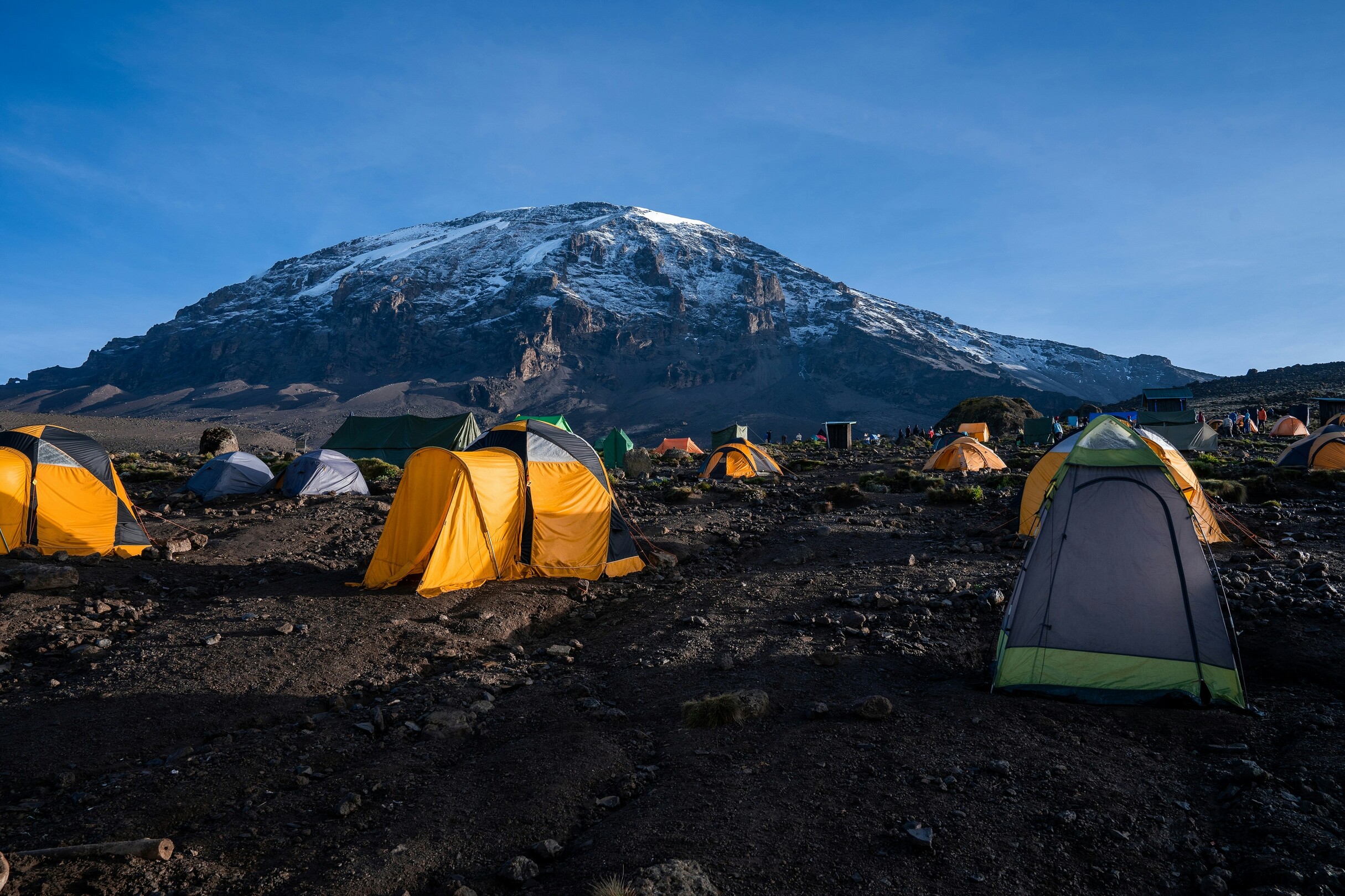 Kilimanjaro