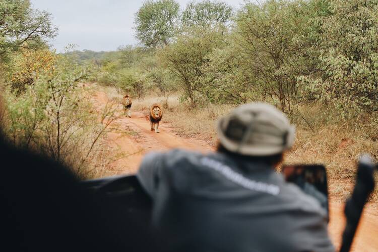 Radisson Safari Hotel Hoedspruit