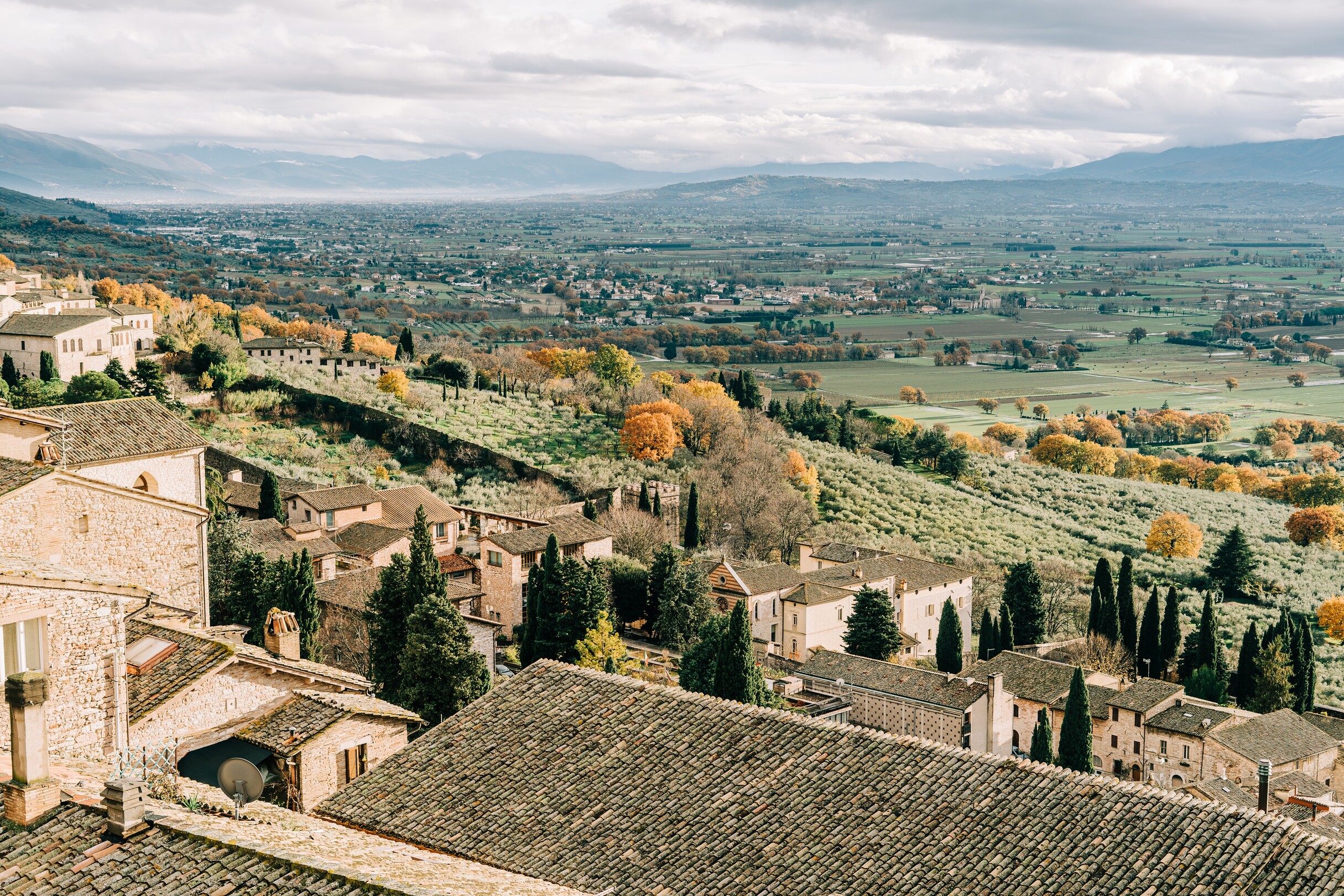 assisi