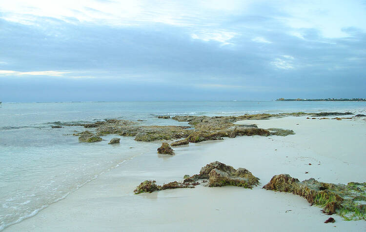 Akumal Beach Snorkeling