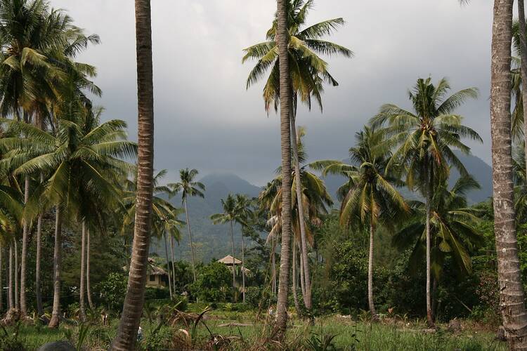 Koh Klang