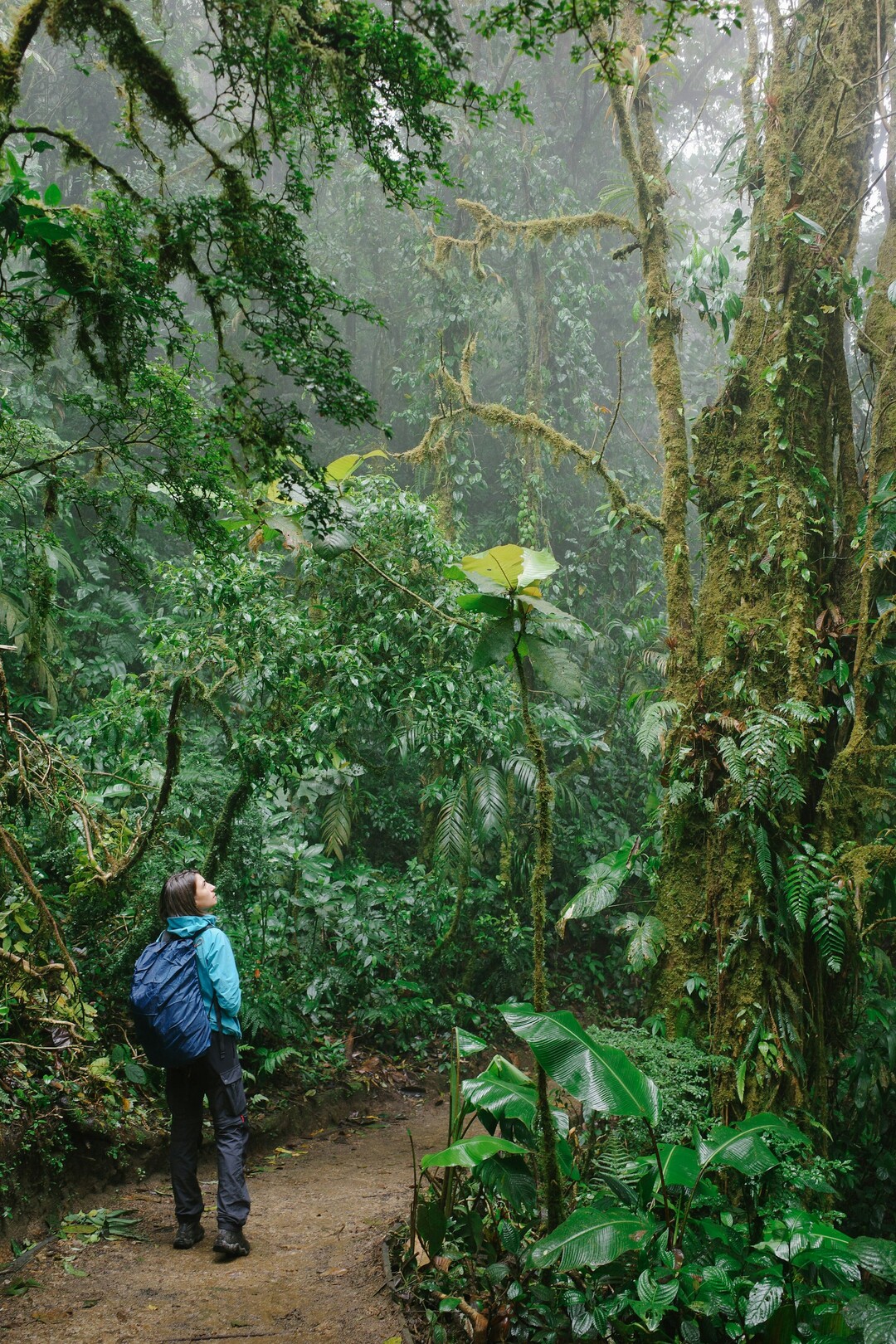 Monteverde, CR