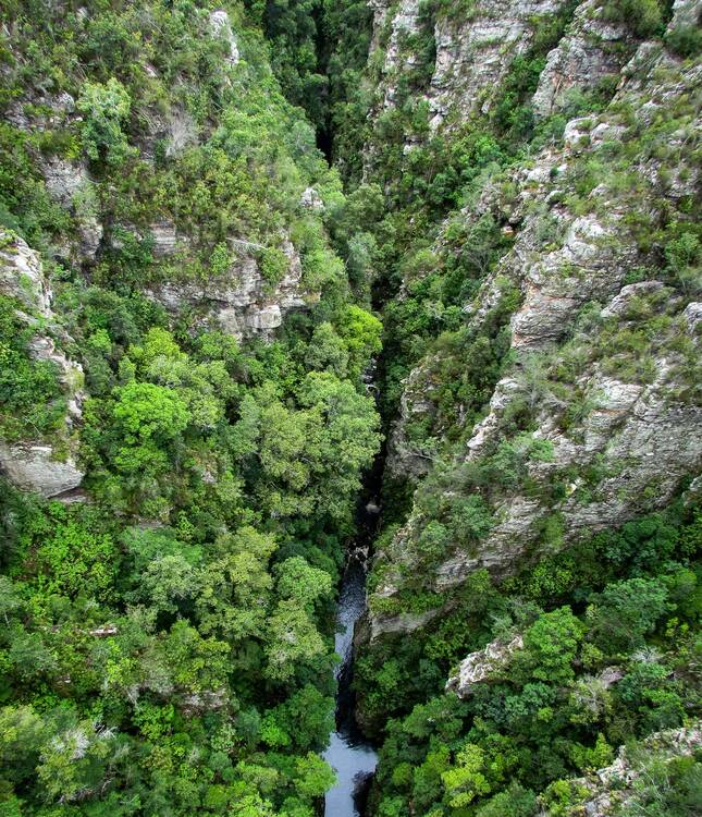 Knysna