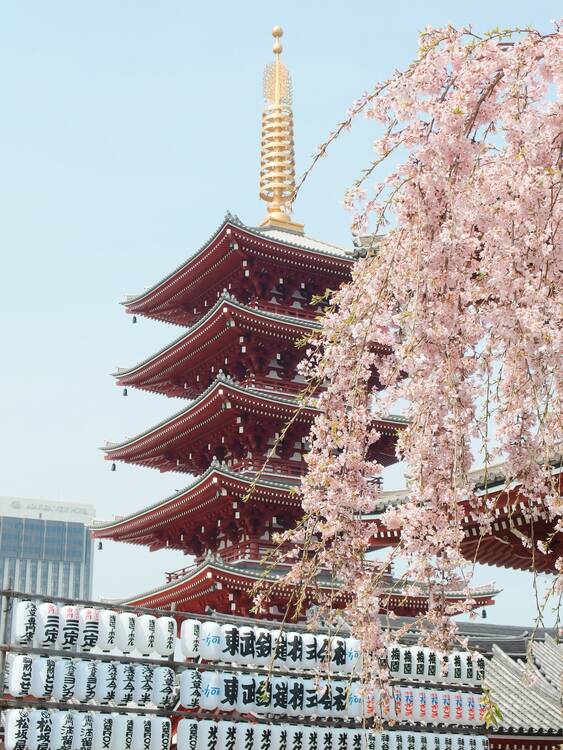 Sensoji Temple