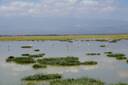 amboseli national park