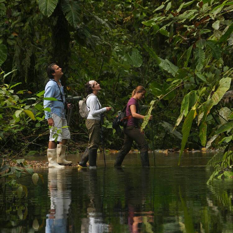 Guayaquil-Nature Trek