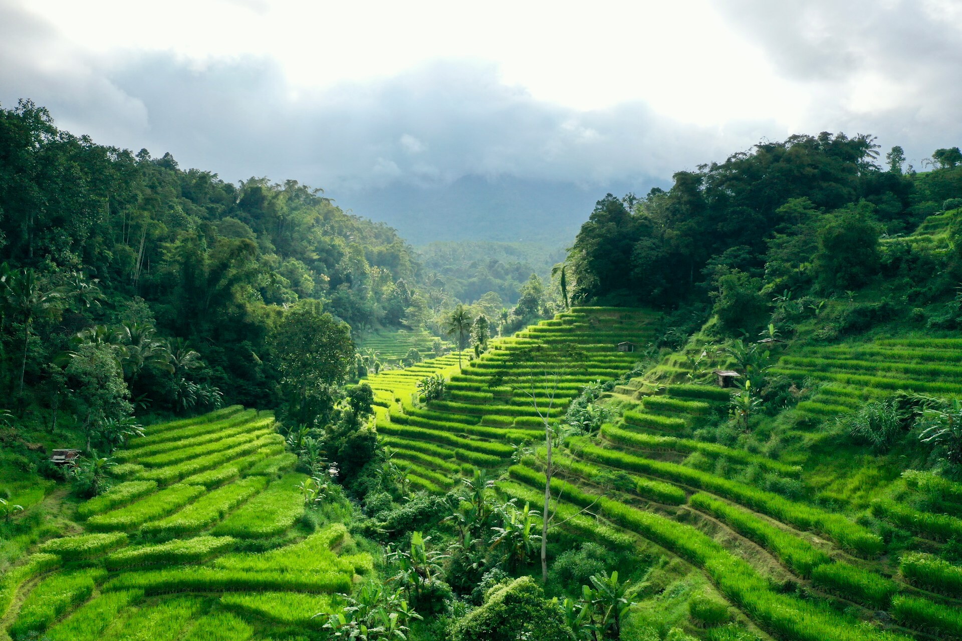 Tabanan, Bali - feature