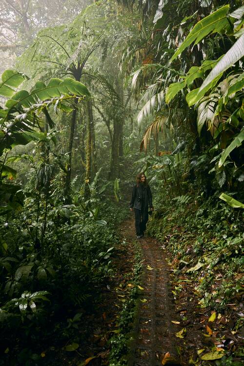 Costa Rica Nature Walk