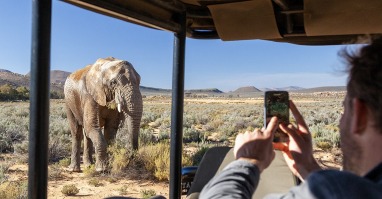 Star Aquila Private Game Reserve