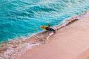 Oahu Surfer