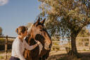 Horse Wellness