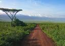 Ngorongoro Conservation Area