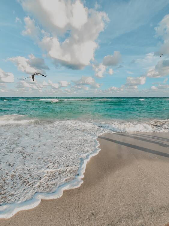Miami Beach