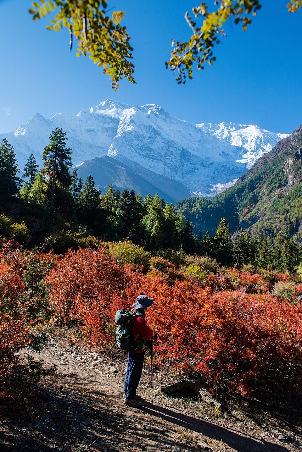 Hiker looking at Annapurna Mountain Range