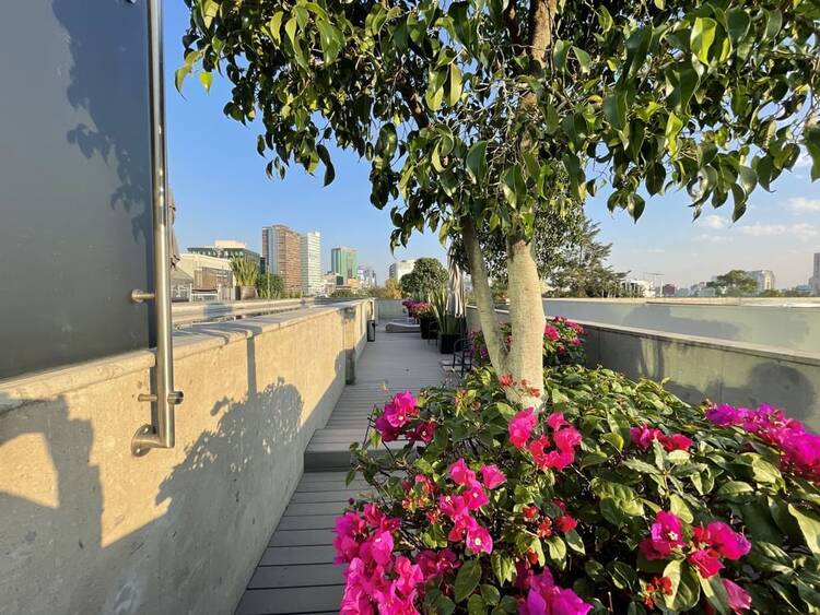 Las Suites Campos Eliseos