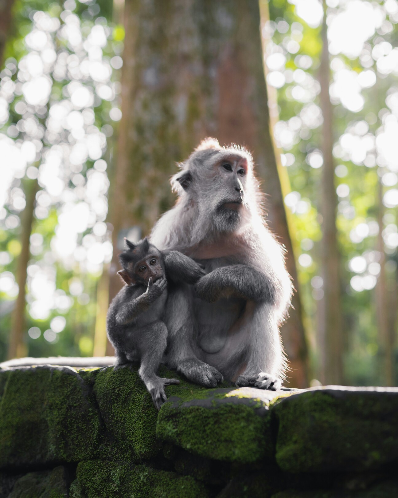 Ubud, Bali
