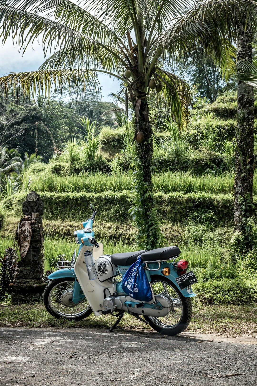 Bali scooter