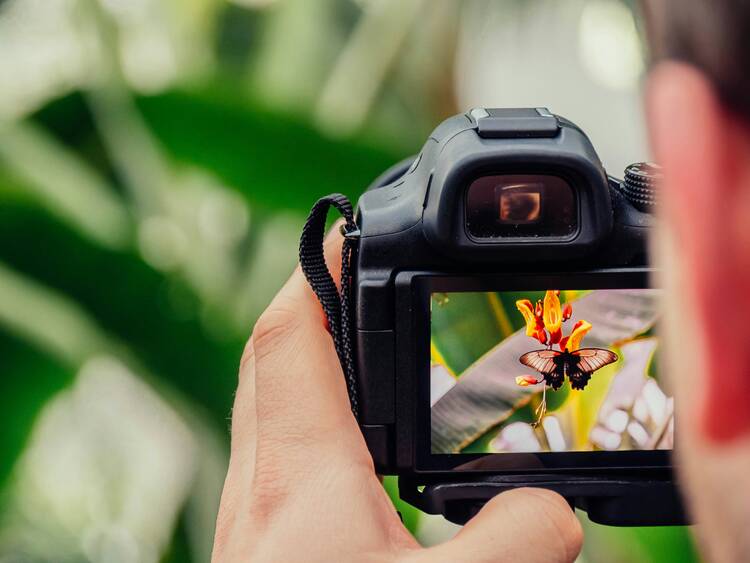 1.5 photos + mindfulness