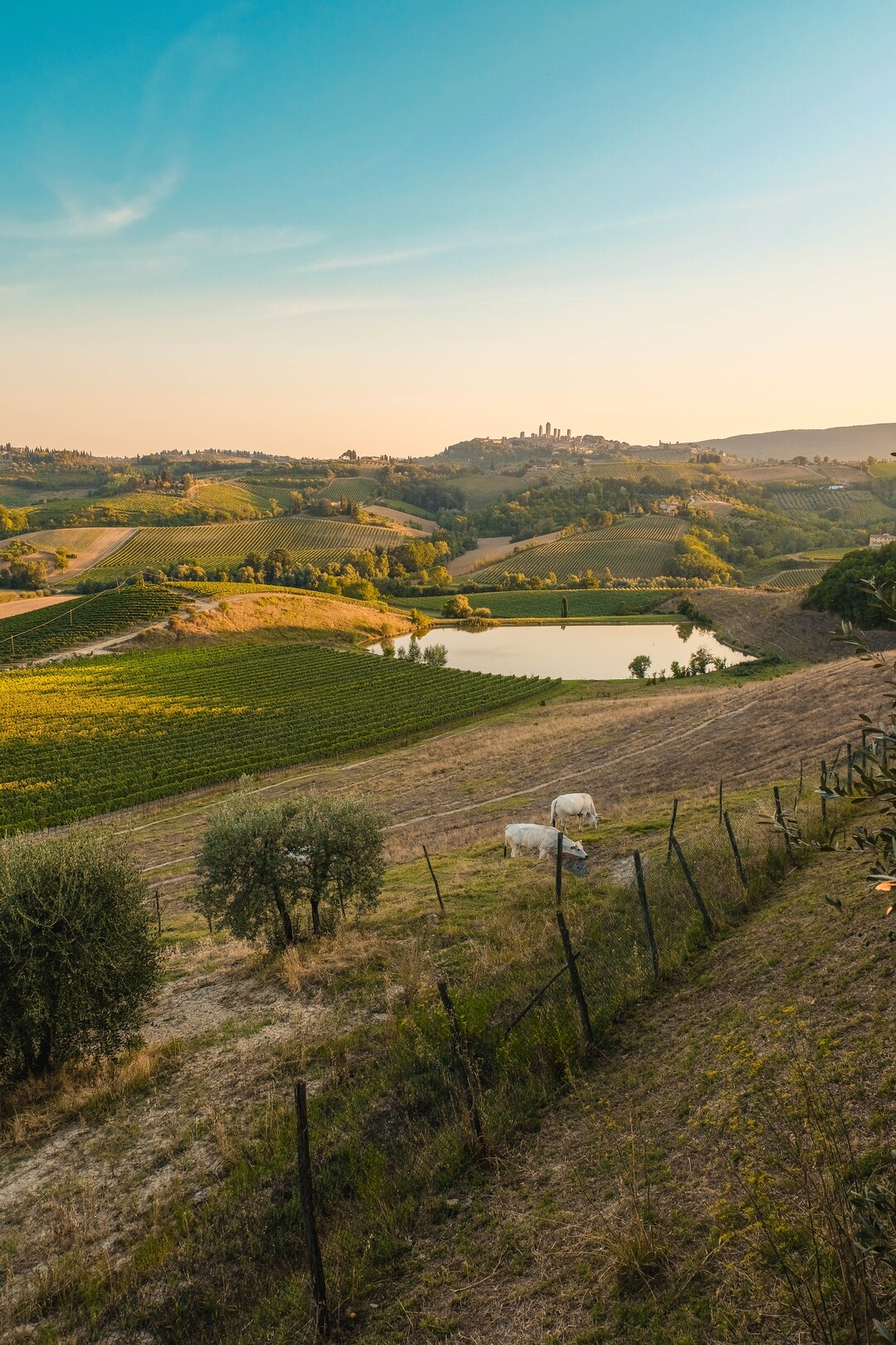 Tuscany