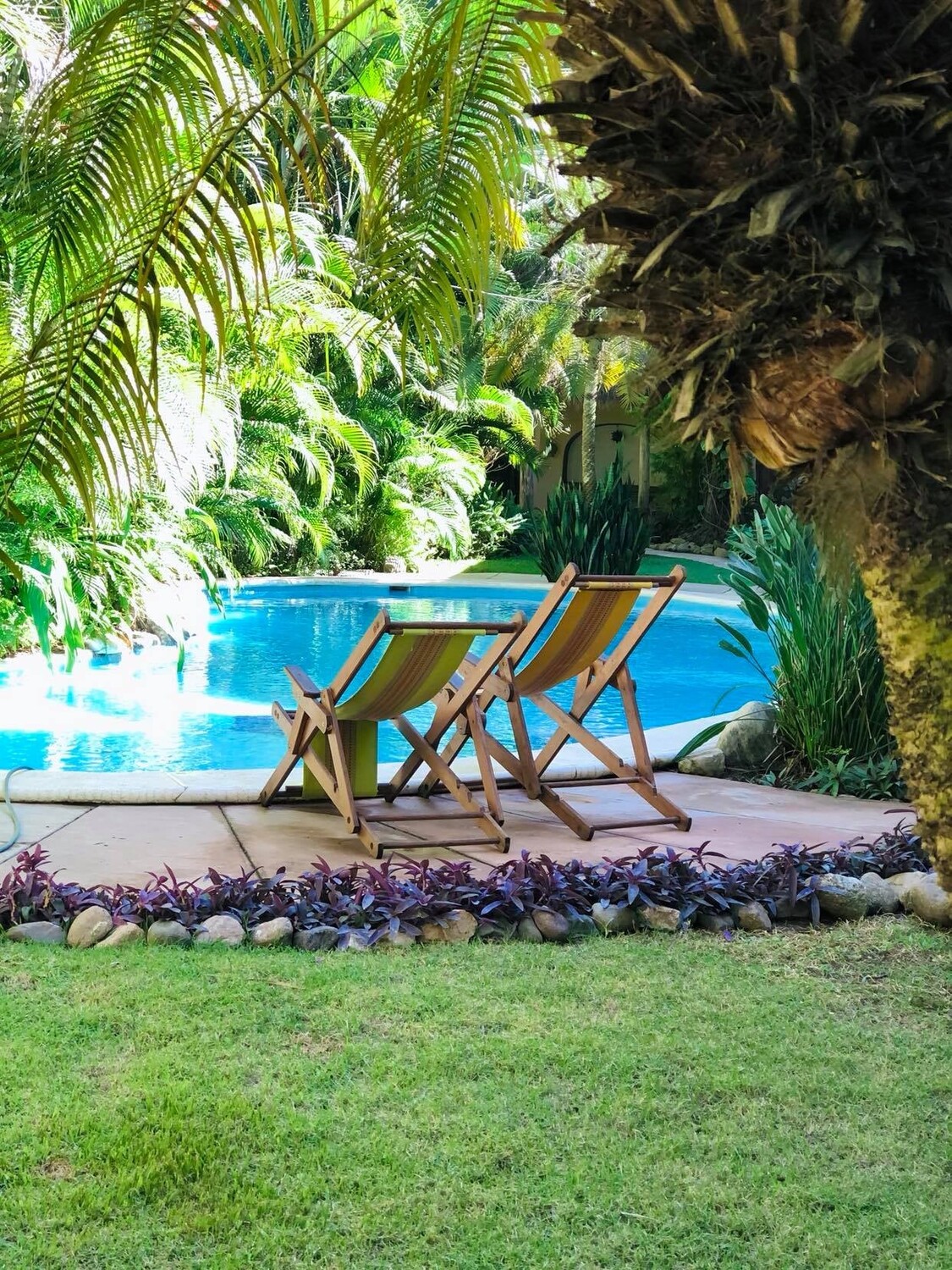 Sayulita Villas Pool