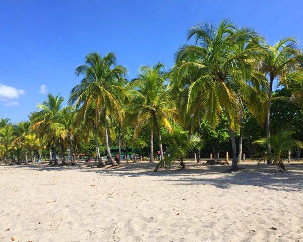 Nammbu Beachfront Bungalows