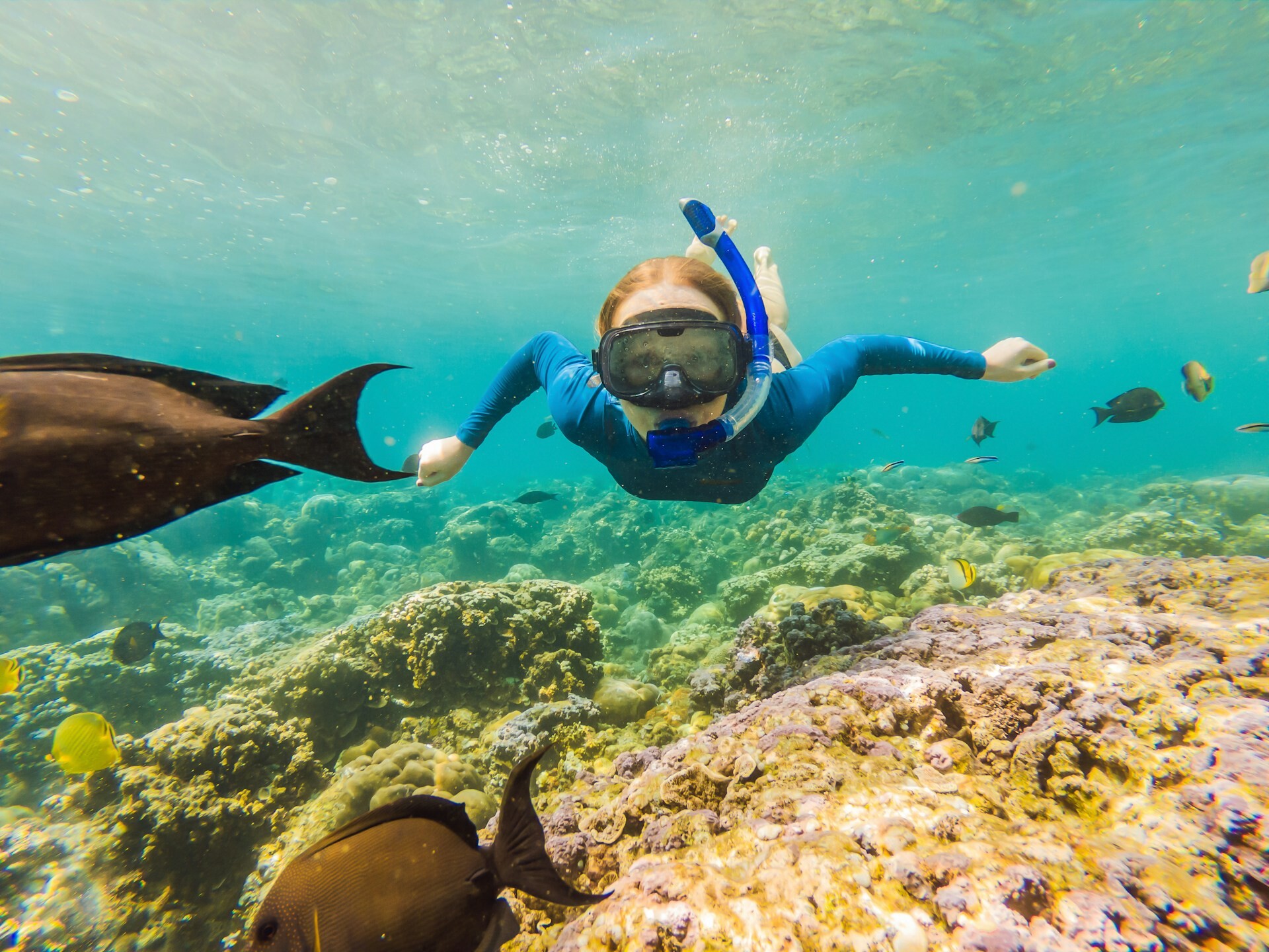 Snorkeling Feature Generic