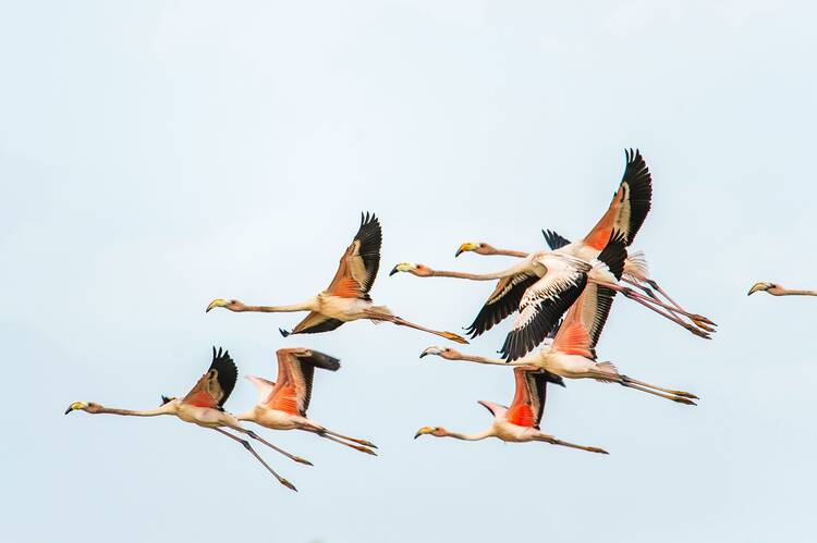 Palomino, Colombia