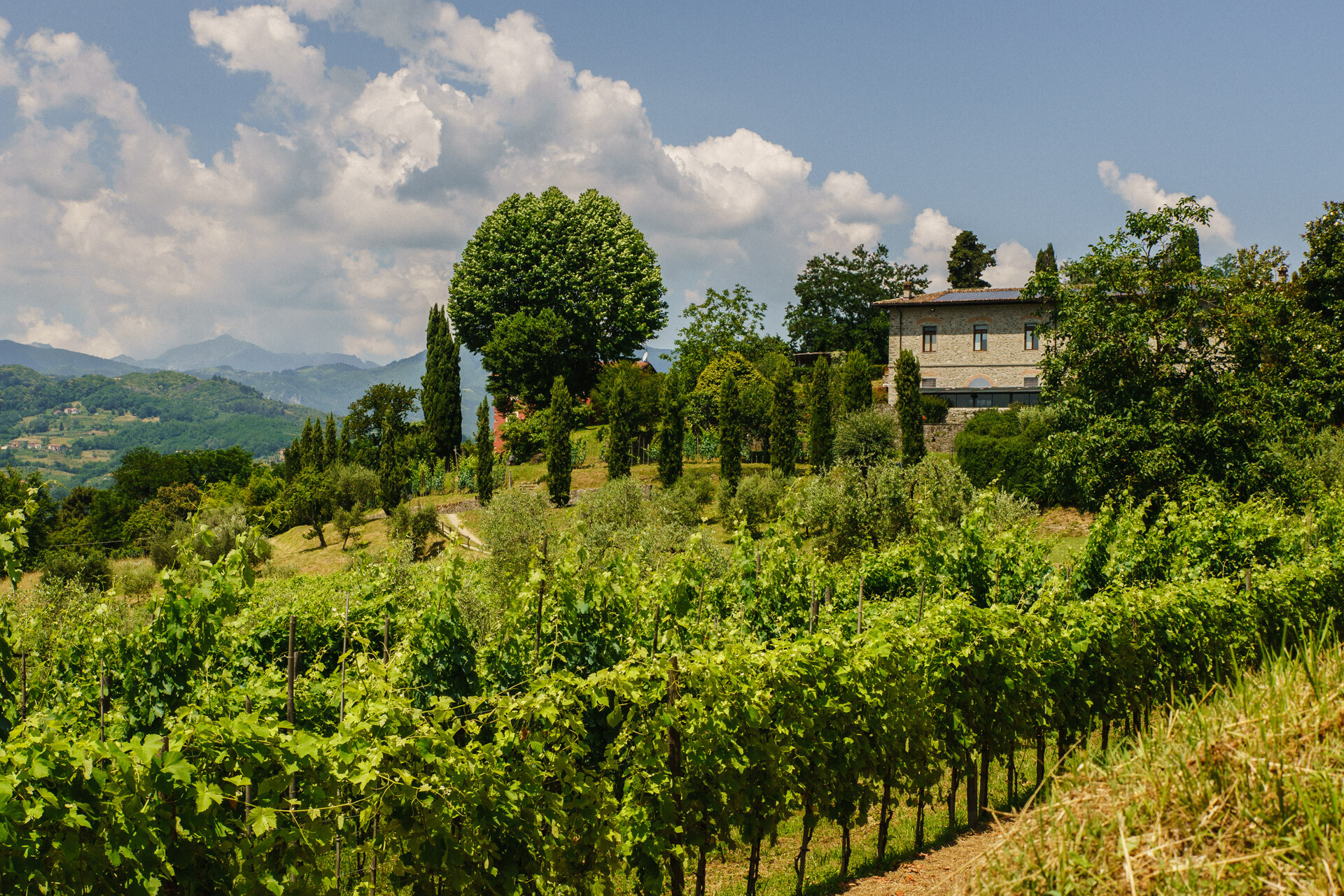 Agriturismo I Cedri
