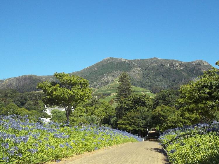Constantia Valley