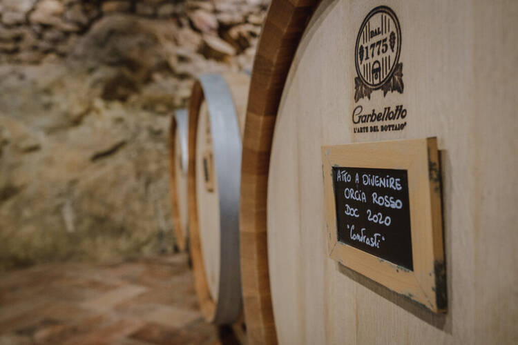 Lignanello Cellar