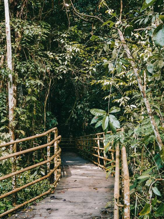 Manuel Antonio