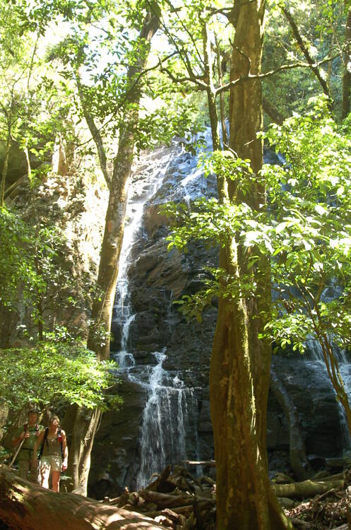 Las Pailas hike, Rincón de la Vieja National Park