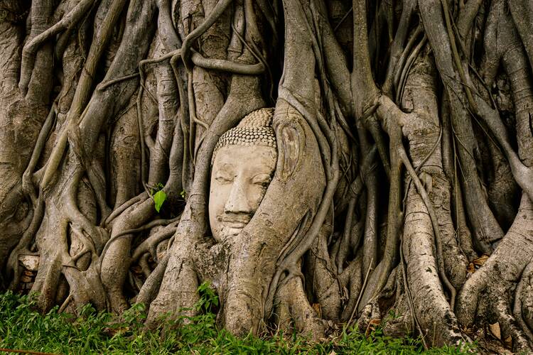 Wat Mahathat Buddha, Ayutthaya - featured