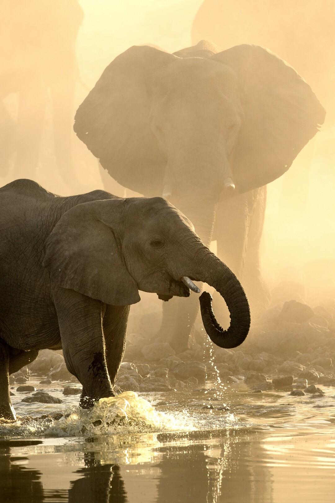 Kruger National Park