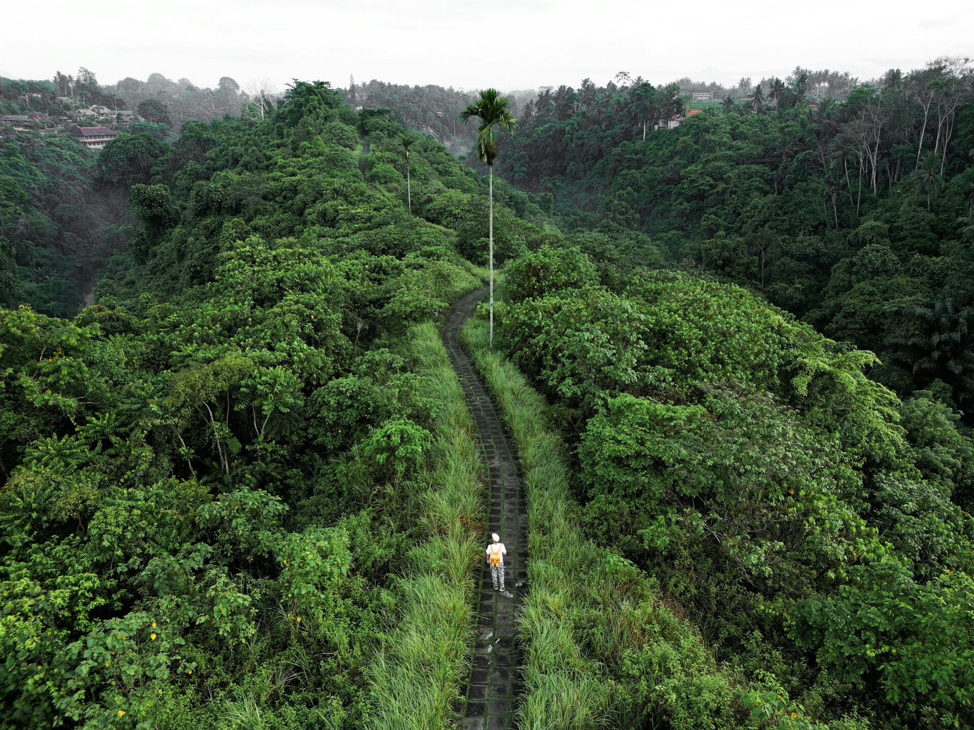 Campuhan Ridge, Bali - feature