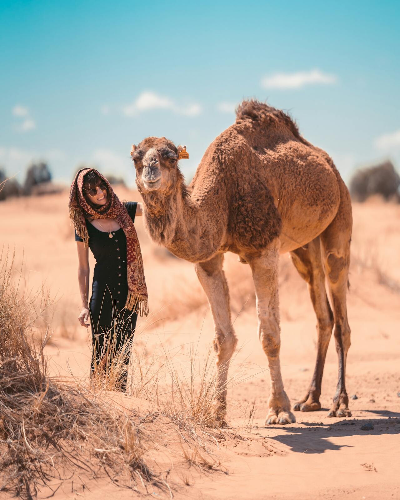 Woman with camel - Merzouga