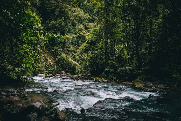 Tenorio Volcano National Park, Costa Rica