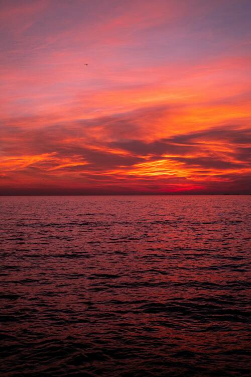 Sunset cruise
