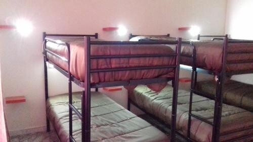 Alexander Hostel dorm rooms