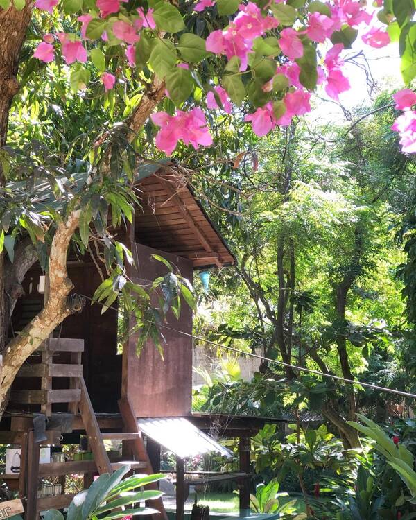 Sayulita Morning