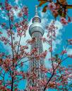 Tokyo Skytree 