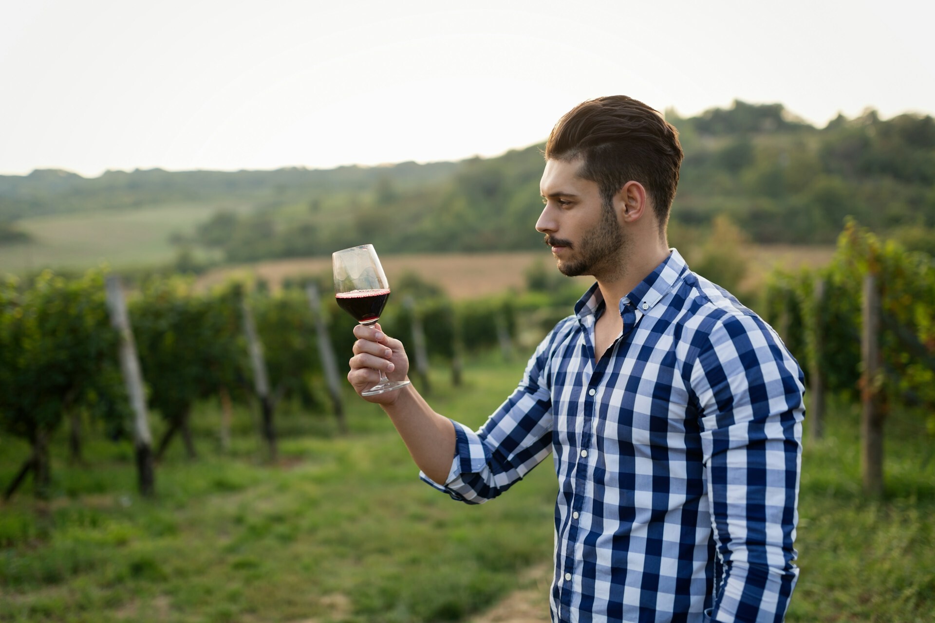 Man at Vineyard