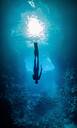 Freediver