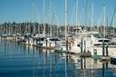 Sausalito Harbor